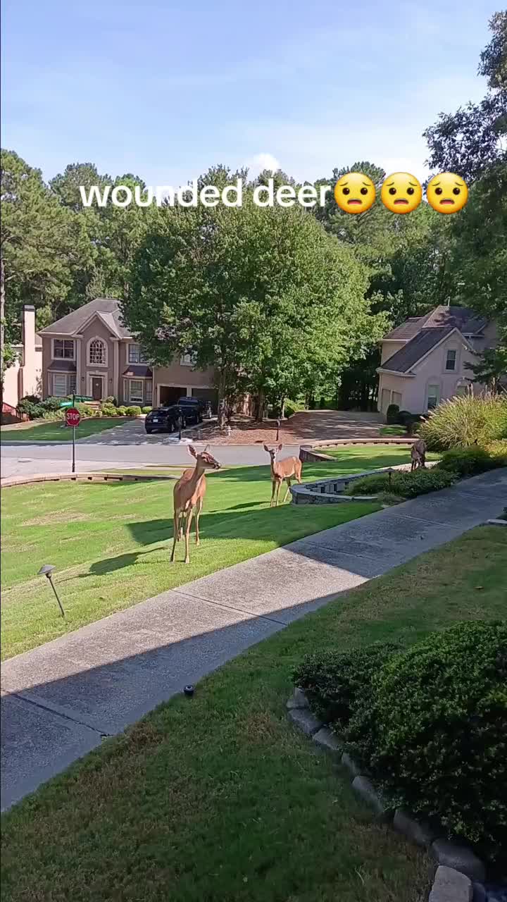 @⚡KHALED.ATL🇺🇲🇲🇦⚡