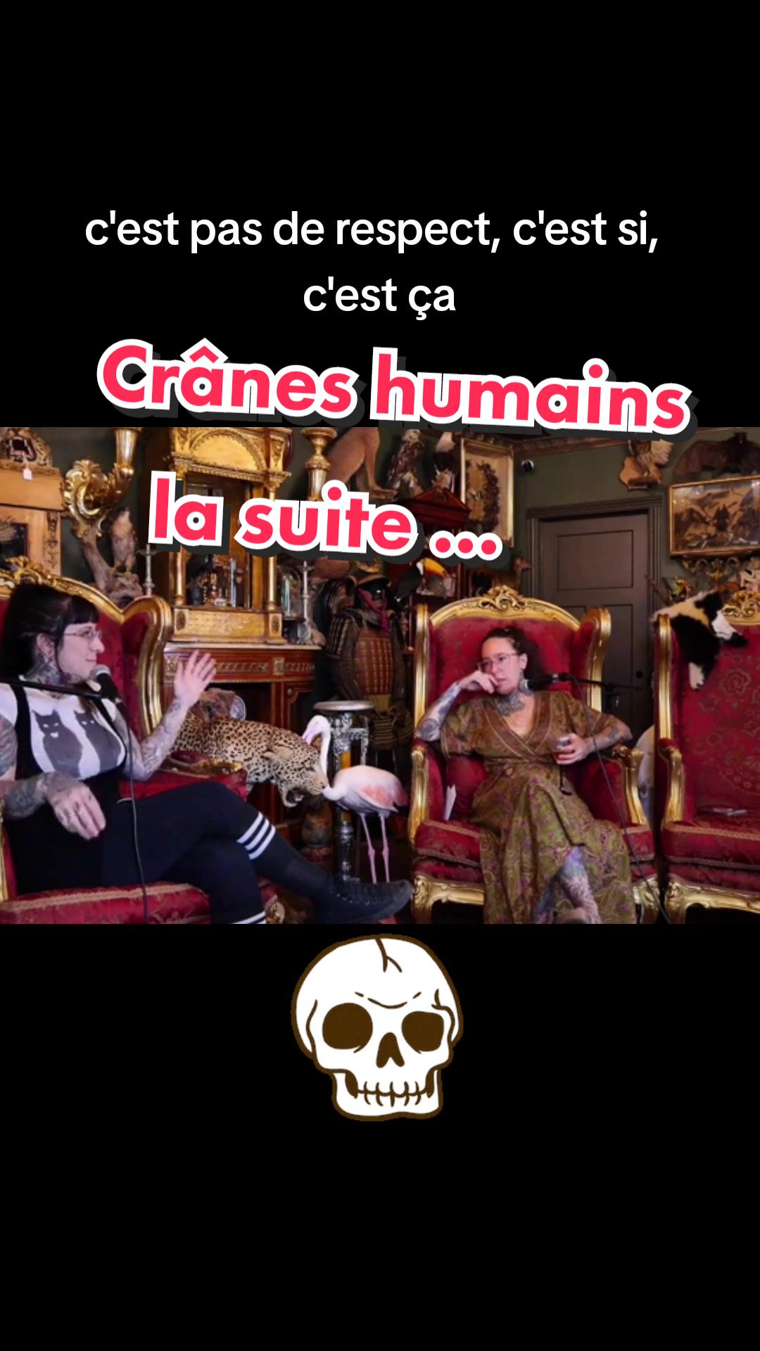 @Les Curieuses