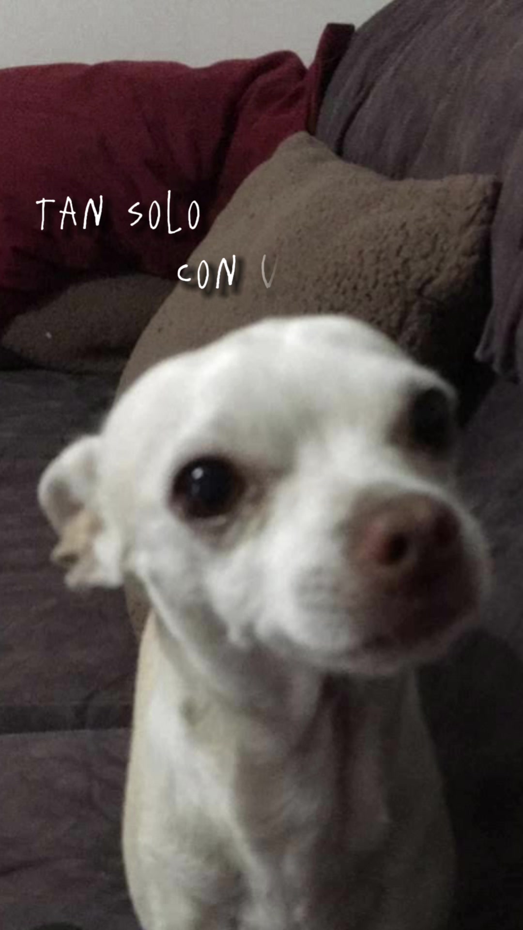@Coryyy