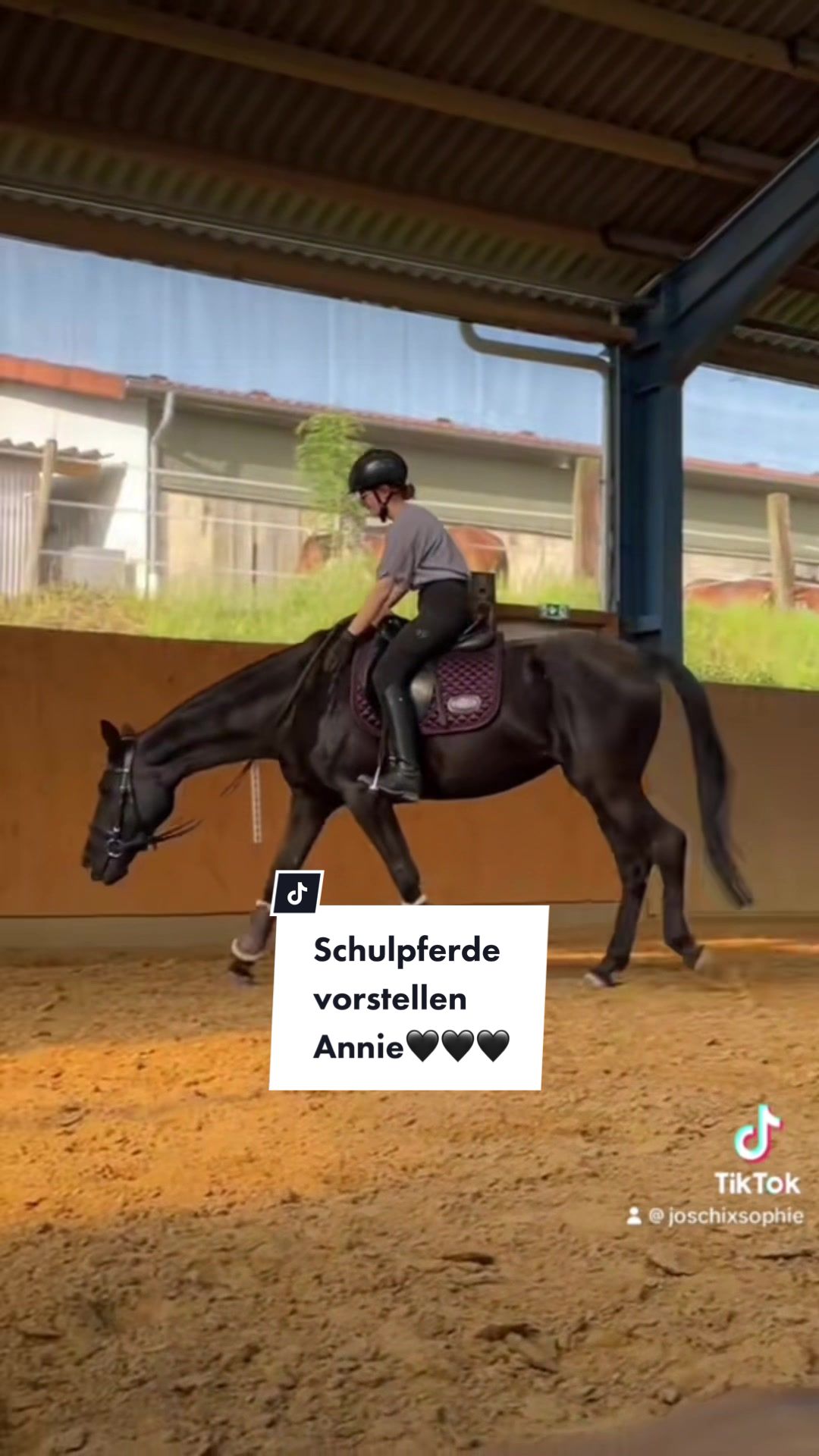 @reiterhofalteheld