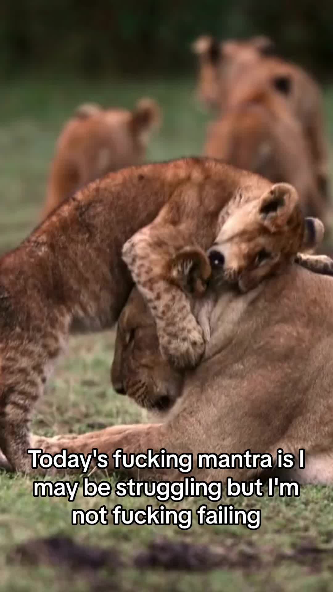 @HerculeanMotivation