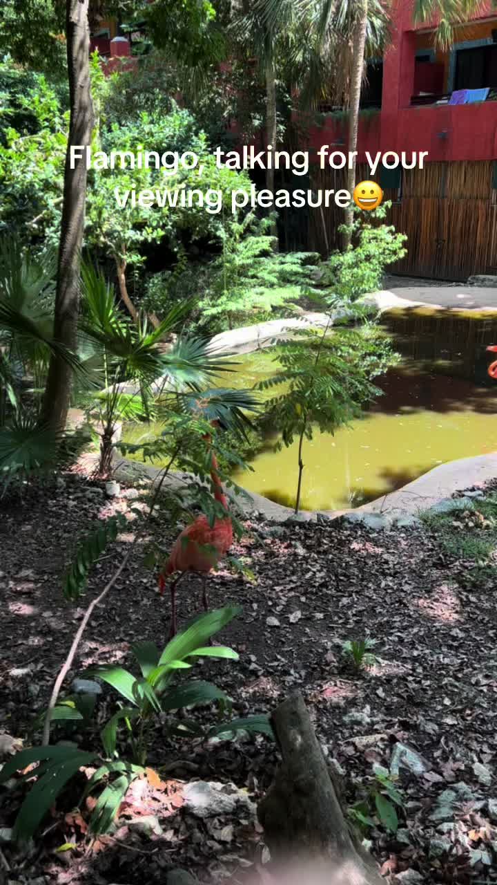 @Amandamay3434