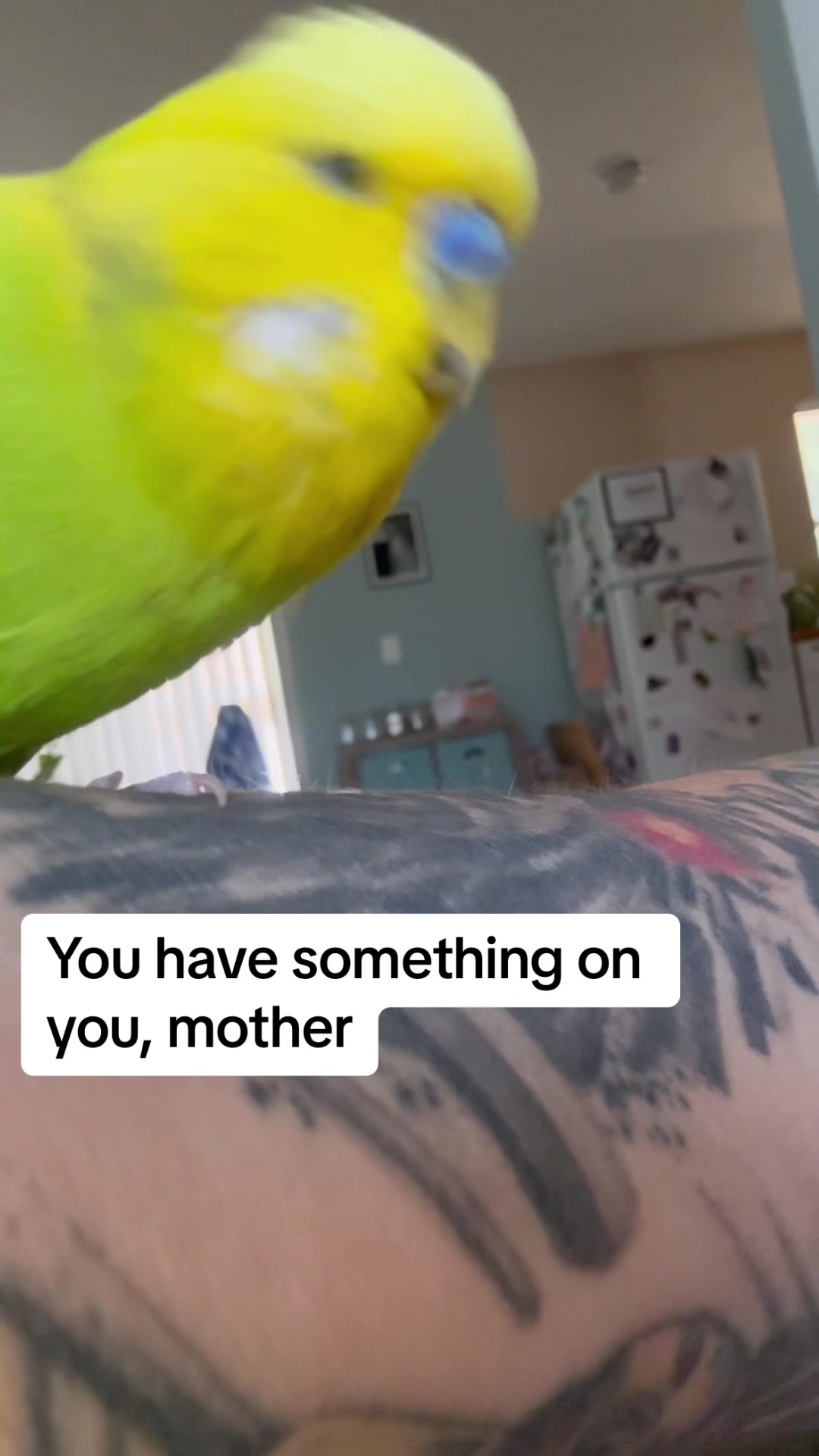 @Rupeedoo