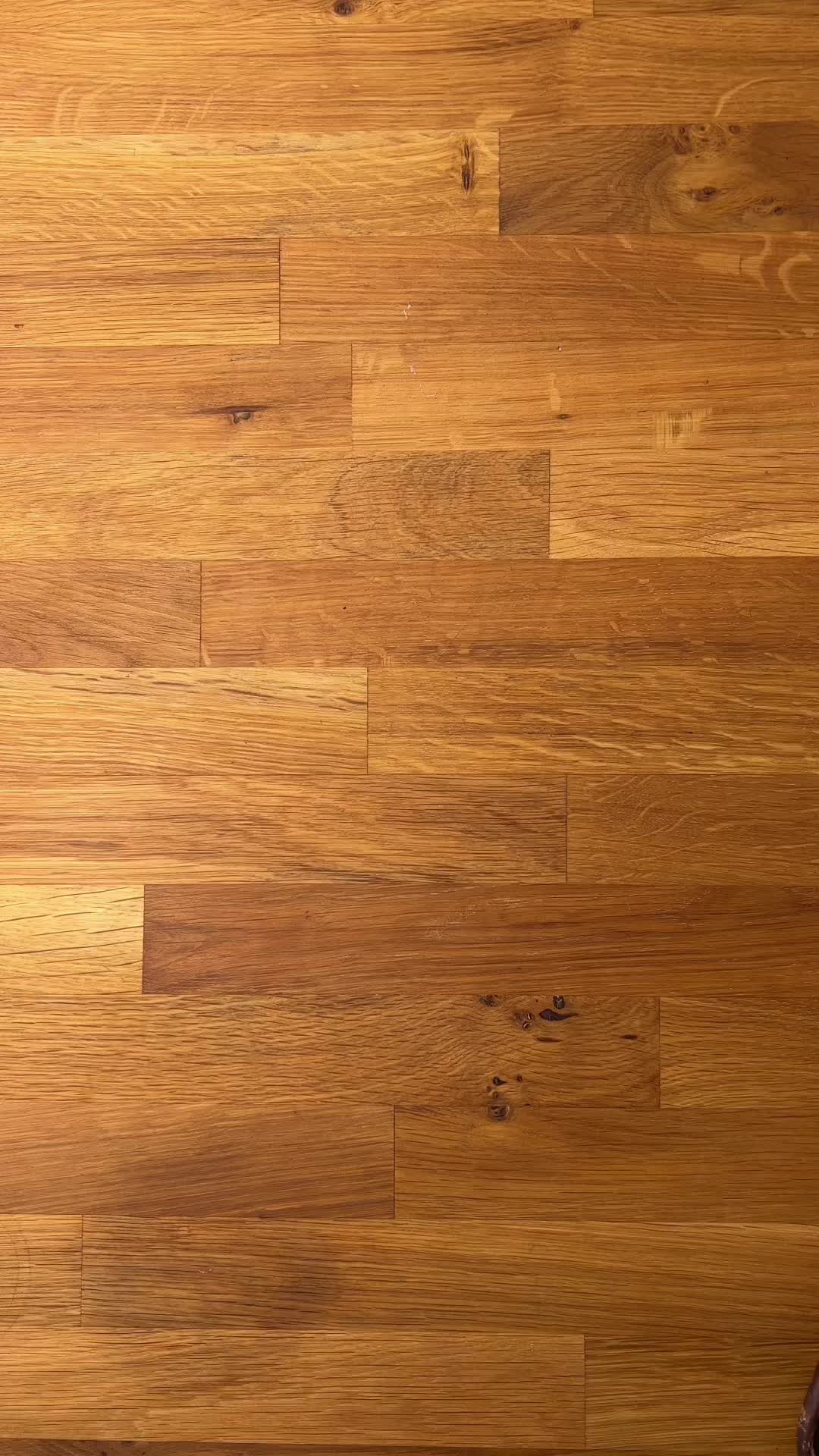 @everydaykelli