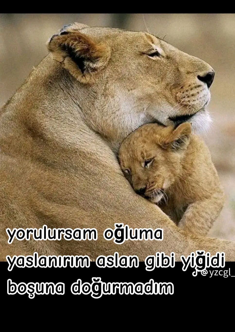 @Sinem Demir