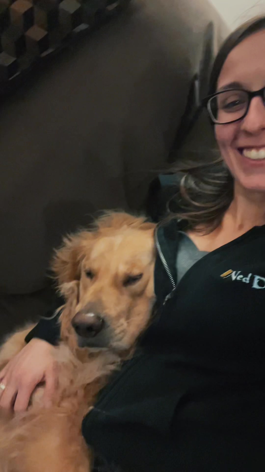@Buddy the Golden 🦮😎