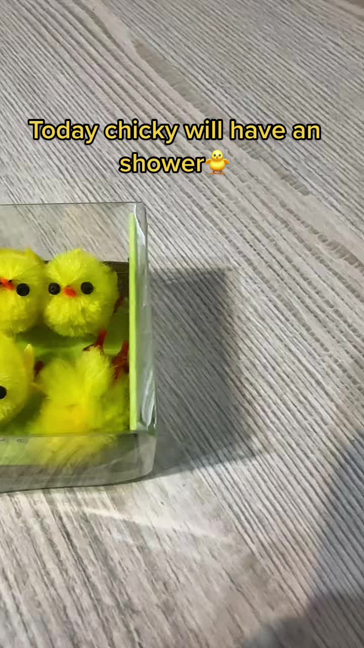 @busestff