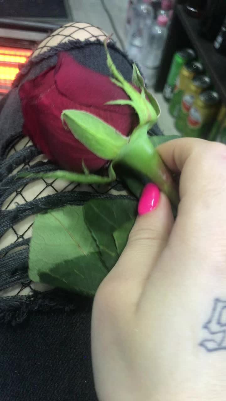 @likko_❤️