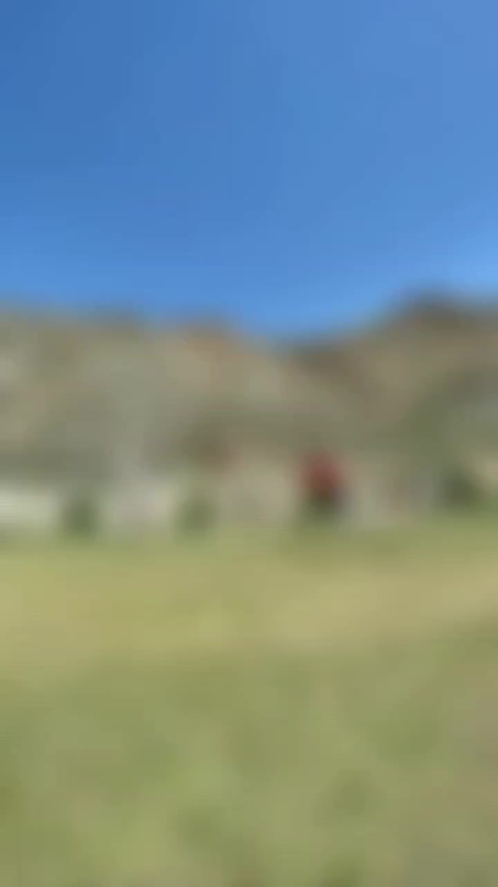@king737