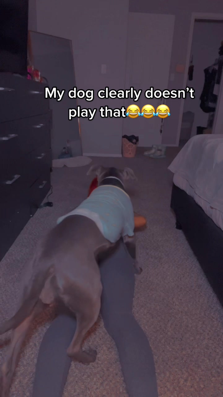 @Mykenz