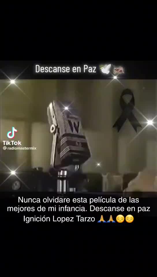 @nancycamacho687