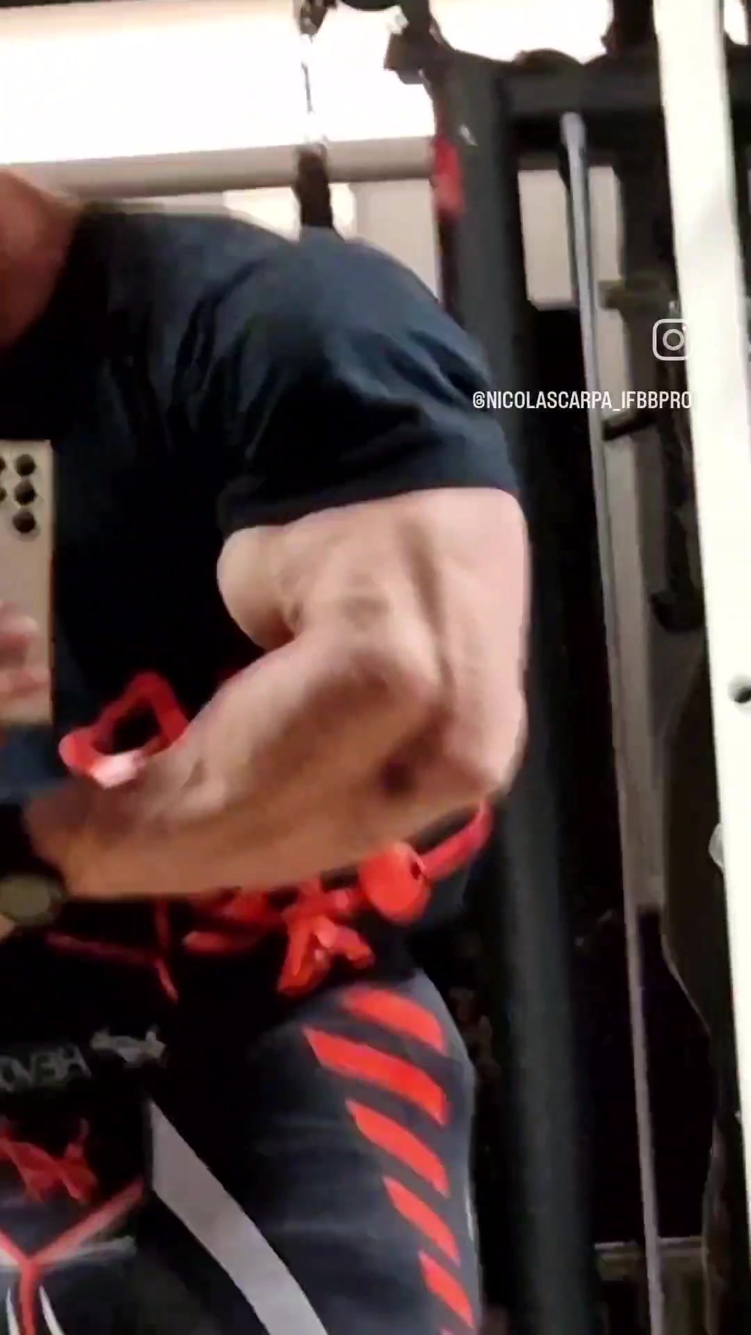 @nicolascarpa_ifbbpro