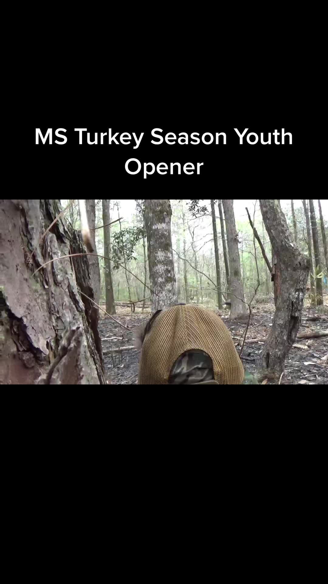 @sginn10