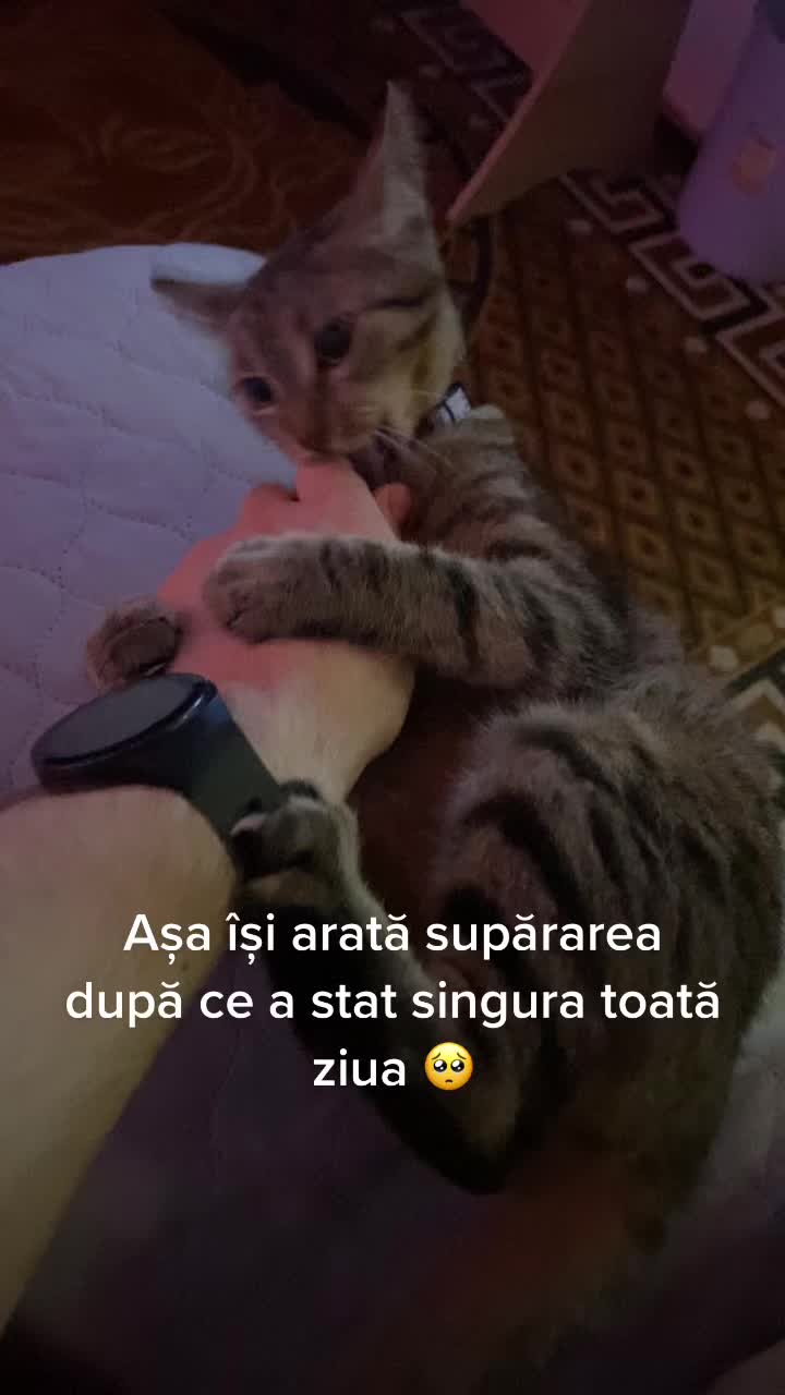 @Ionut