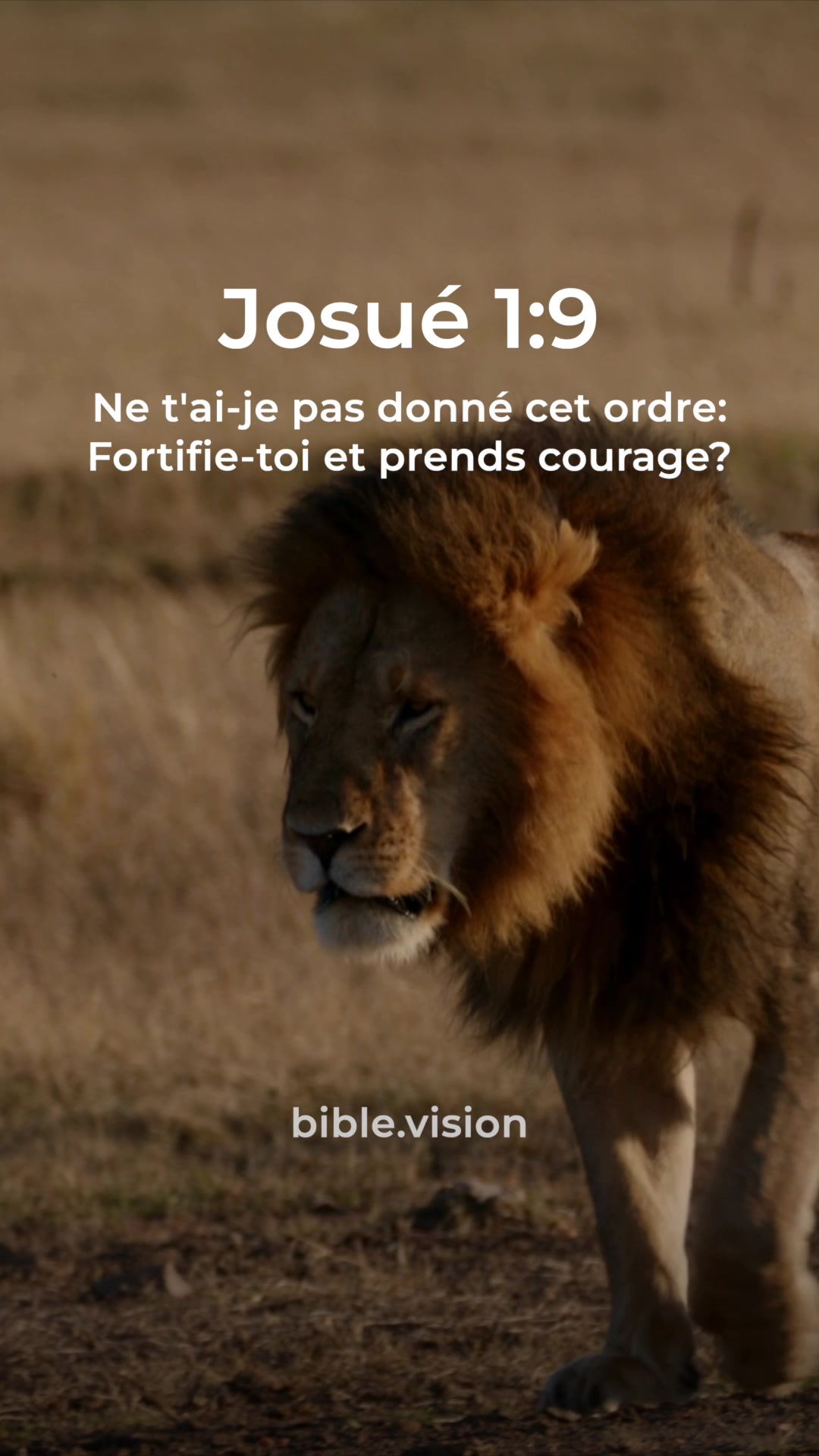 @la Bible Fran&ccedil;ais