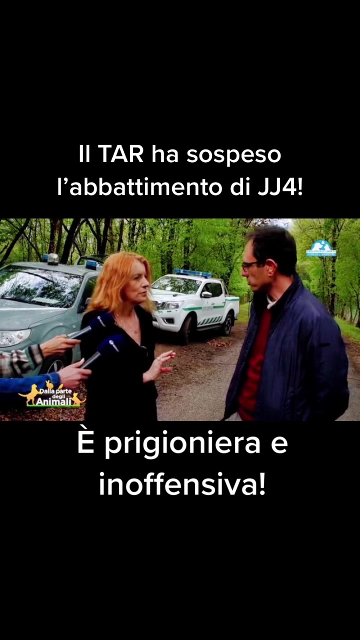 @LEIDAA