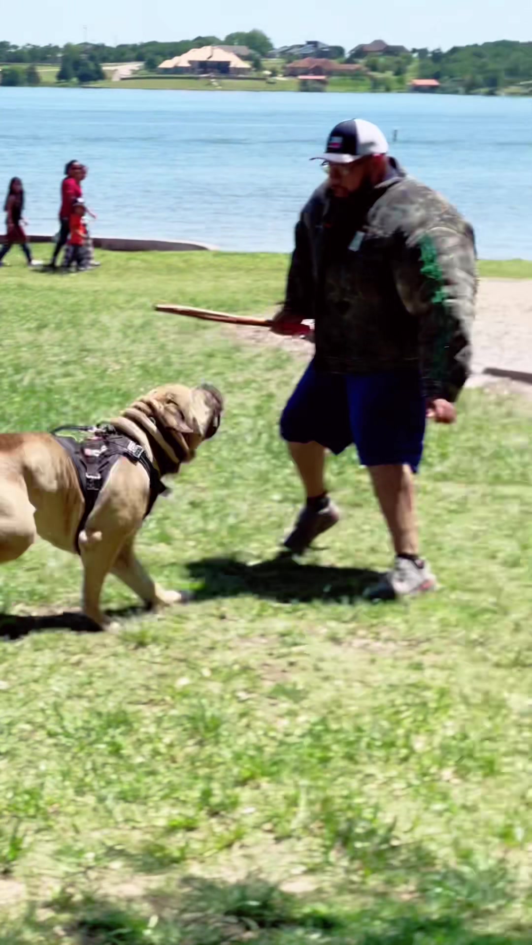@CommCanine