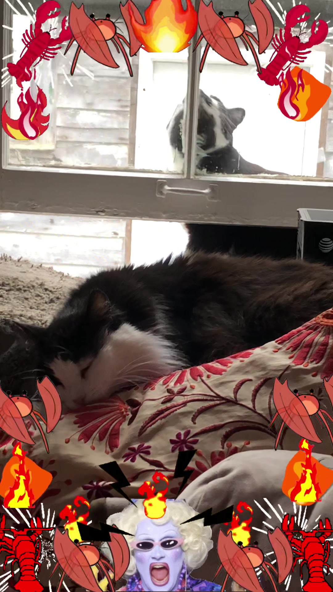 @creepyspookyicky