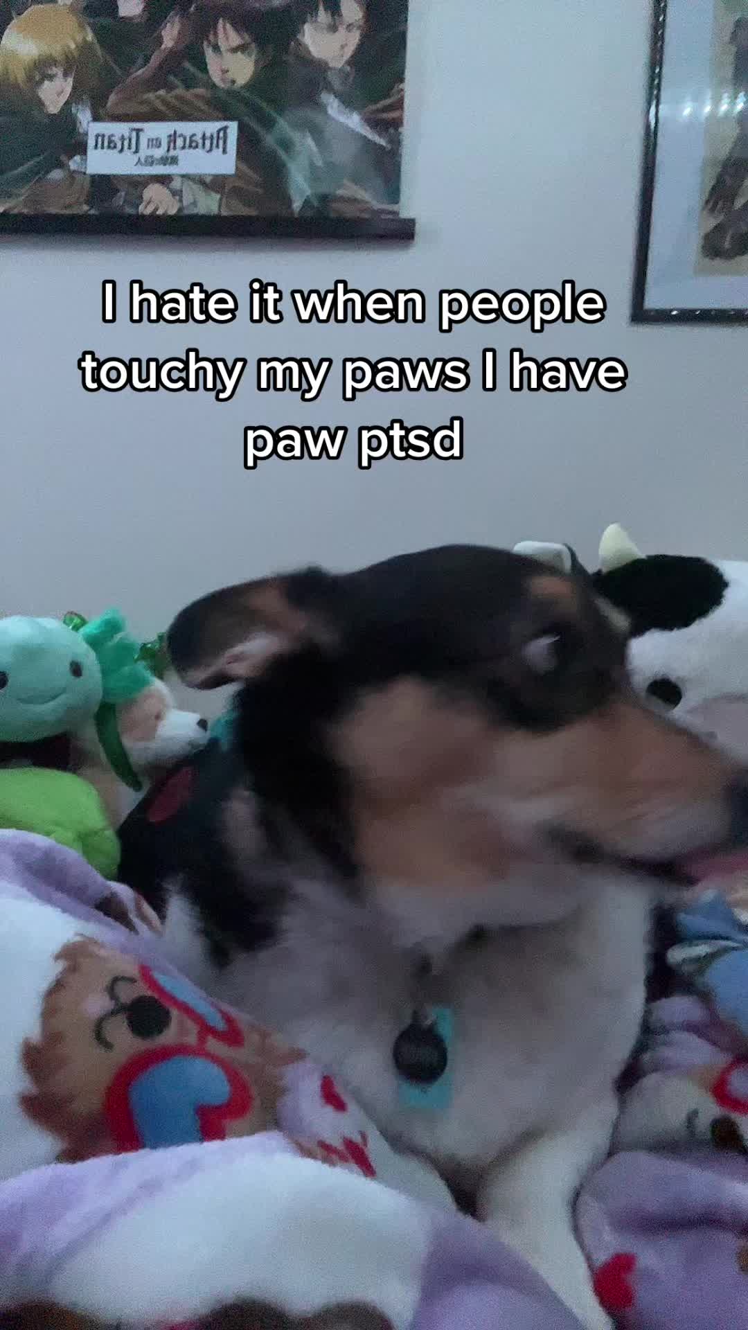 @cospladude