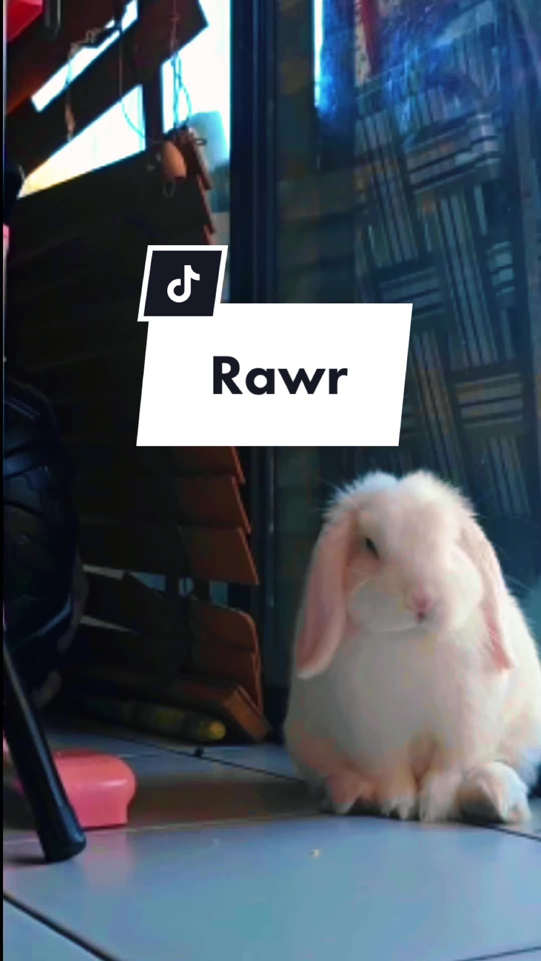 @Arcticbadbunny