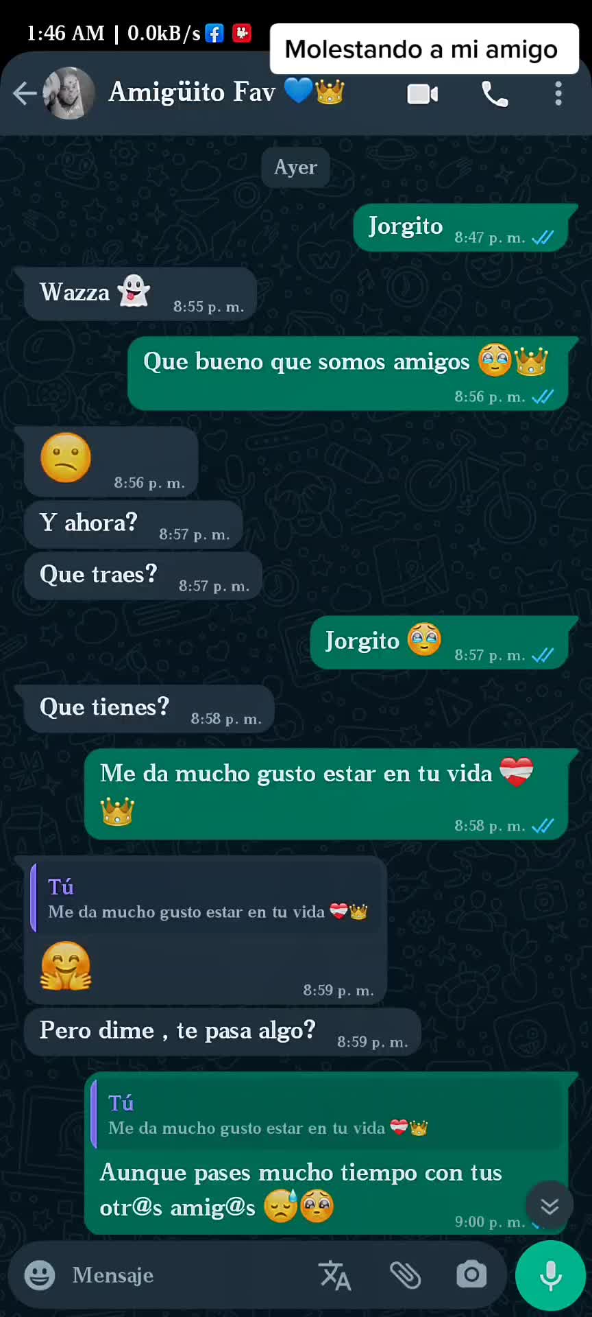 @Amairani ♡