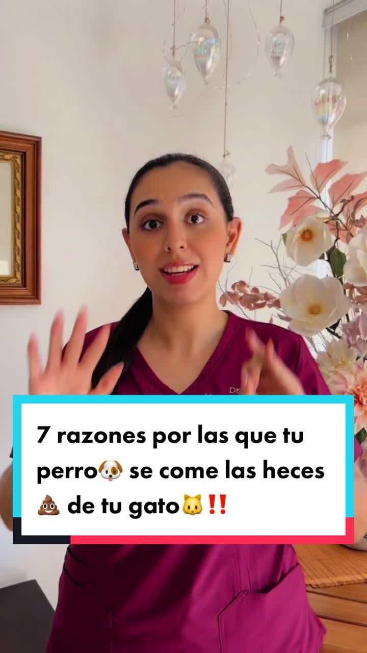 @Mariana&ensp;Parra