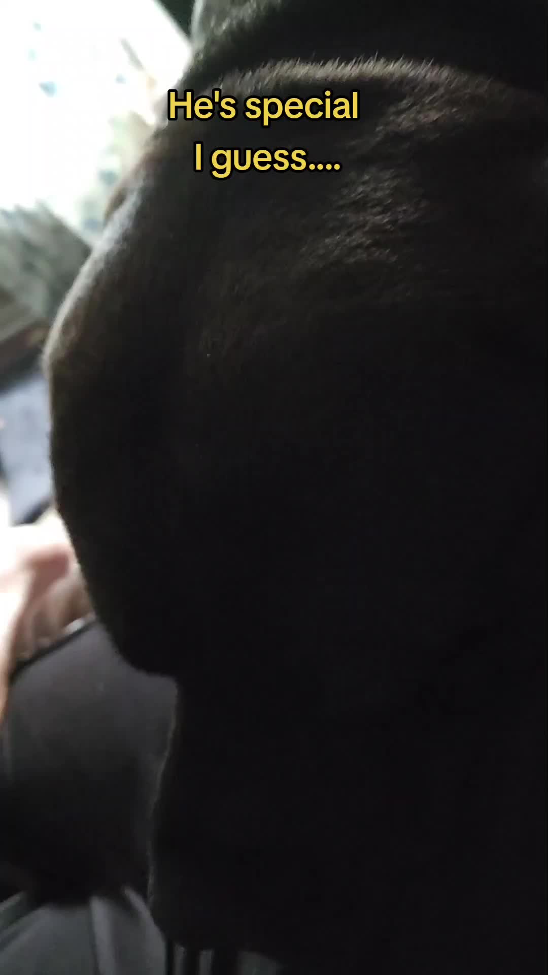 @TheBigTank99