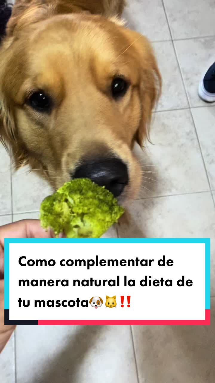@Mariana&ensp;Parra