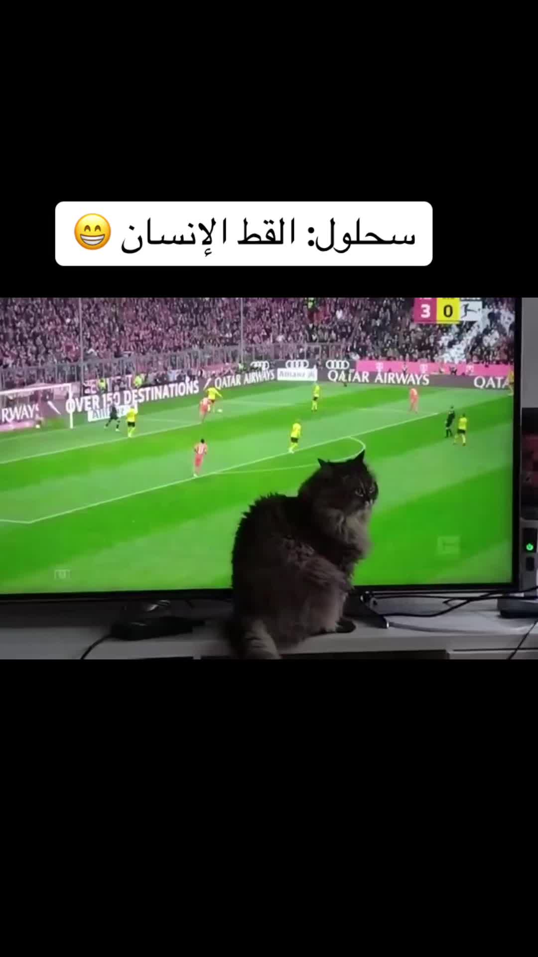 @إيمان محمد