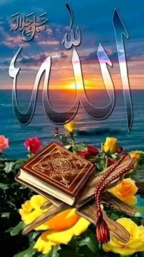 @Love┏♨❤♨┑You┏┥ZaInAb➳&hearts;AbBaSi&hearts;︎