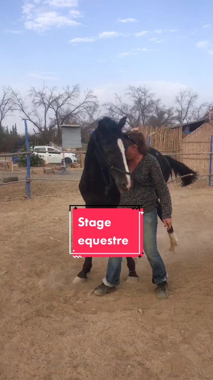 @Les&ensp;&eacute;curies&ensp;de&ensp;la&ensp;roseraie