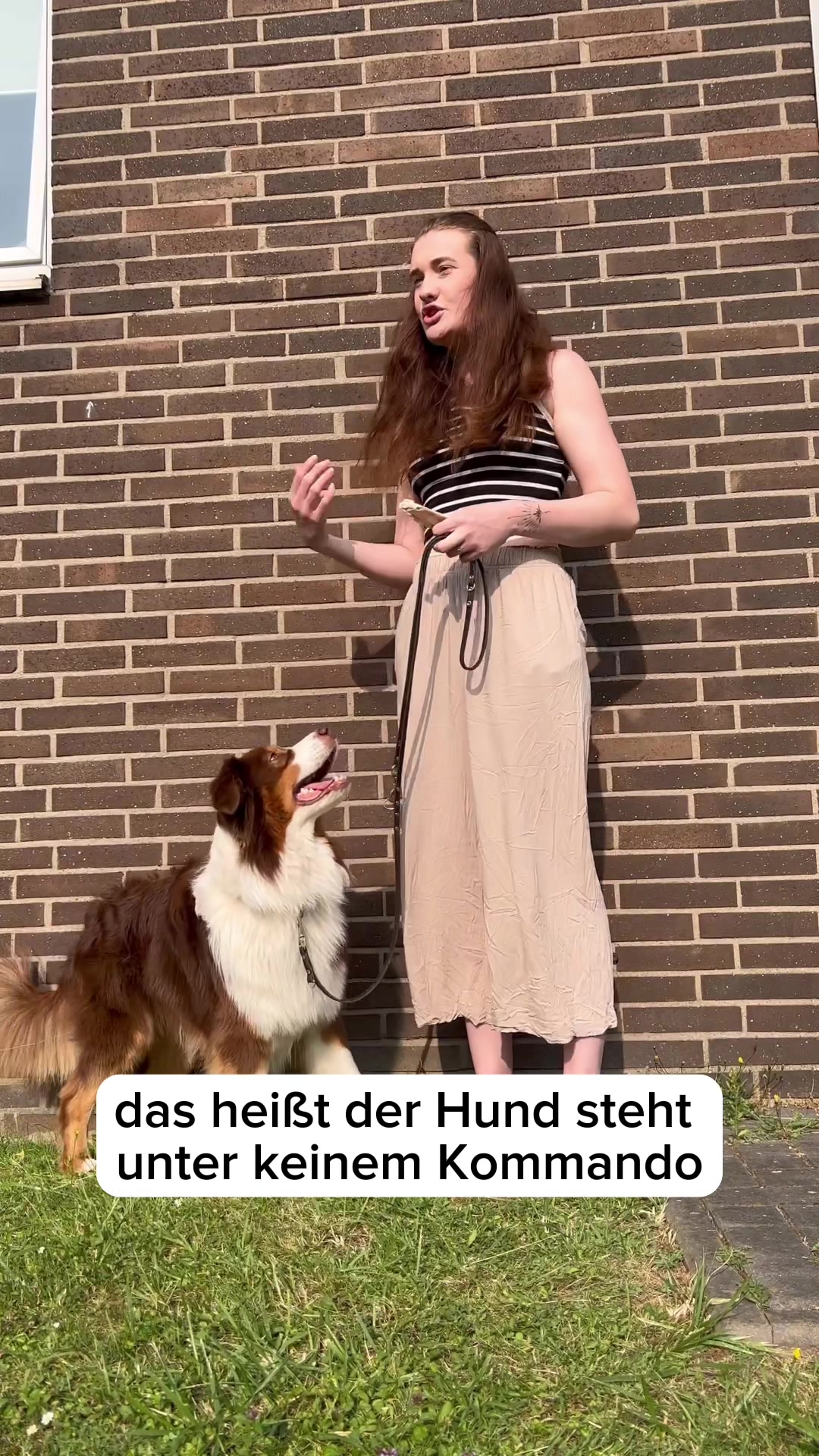 @Antonia | Hundetrainerin