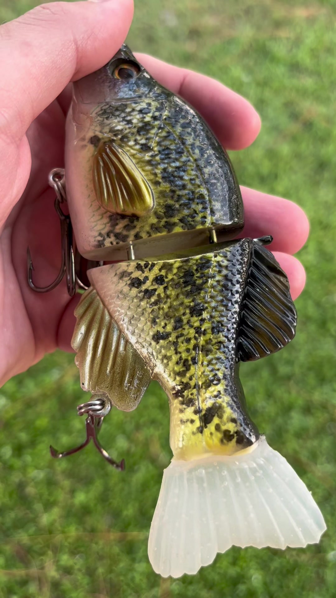 @grovesbaitco