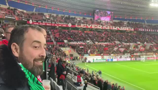 @papzsolt946💚💚💚🤍🤍🤍