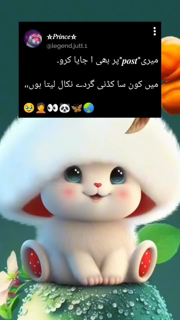 @⫷𝄞❤🇵 r̸i̸n̸c̸e̸★᭄ꦿ᭄ꦿ🚭.