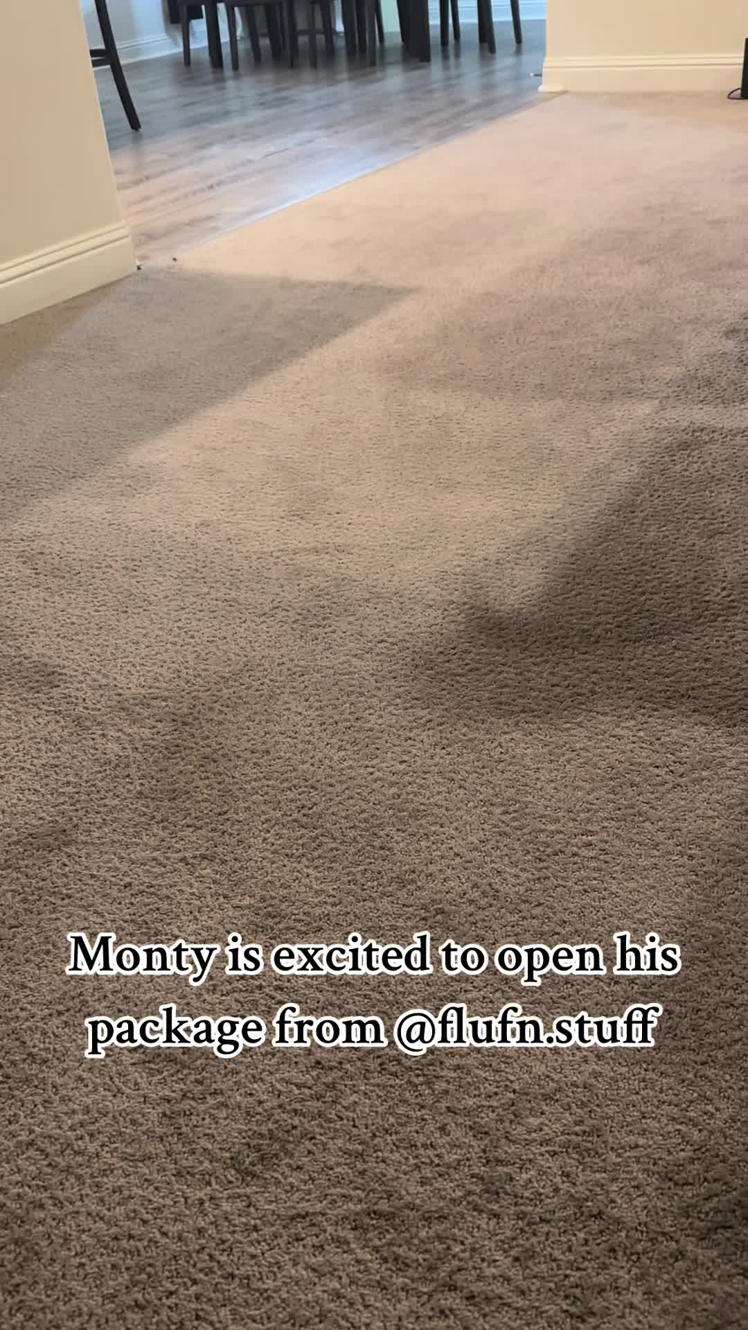 @CorgiMonty