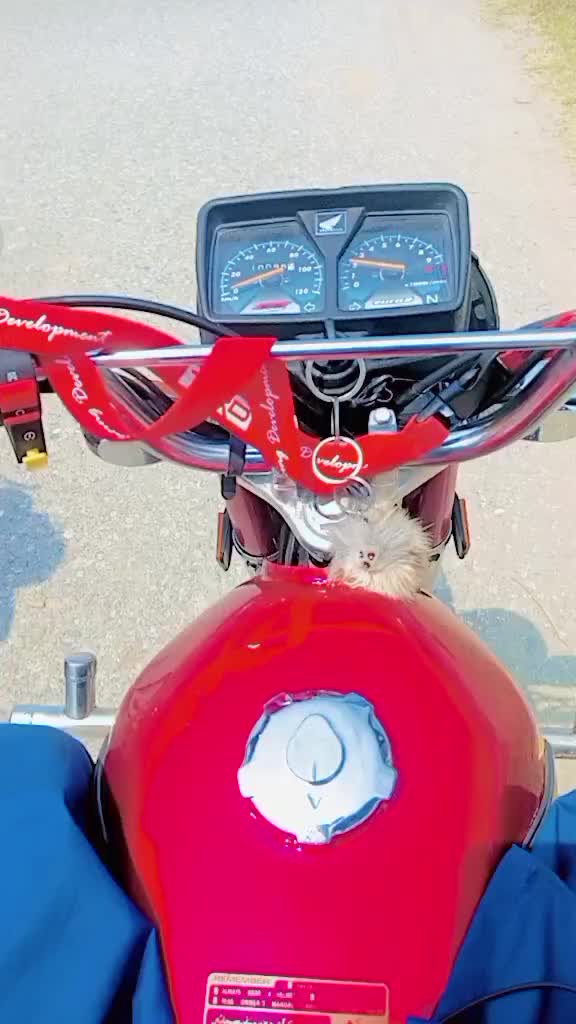 @jnikhan 1234