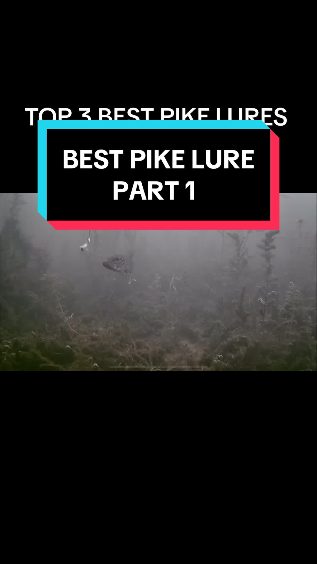 @Lofthouse Fishing