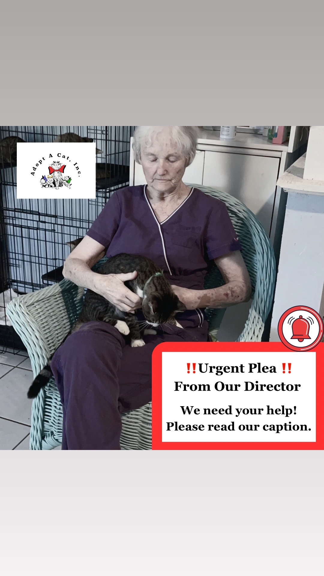 @Adoptacatinc