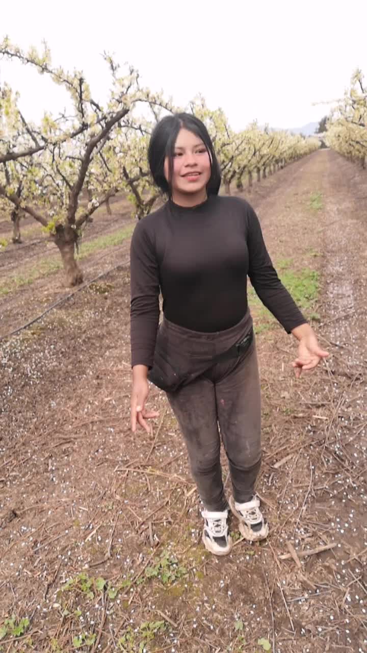 @Rebe Janco Masti🌻