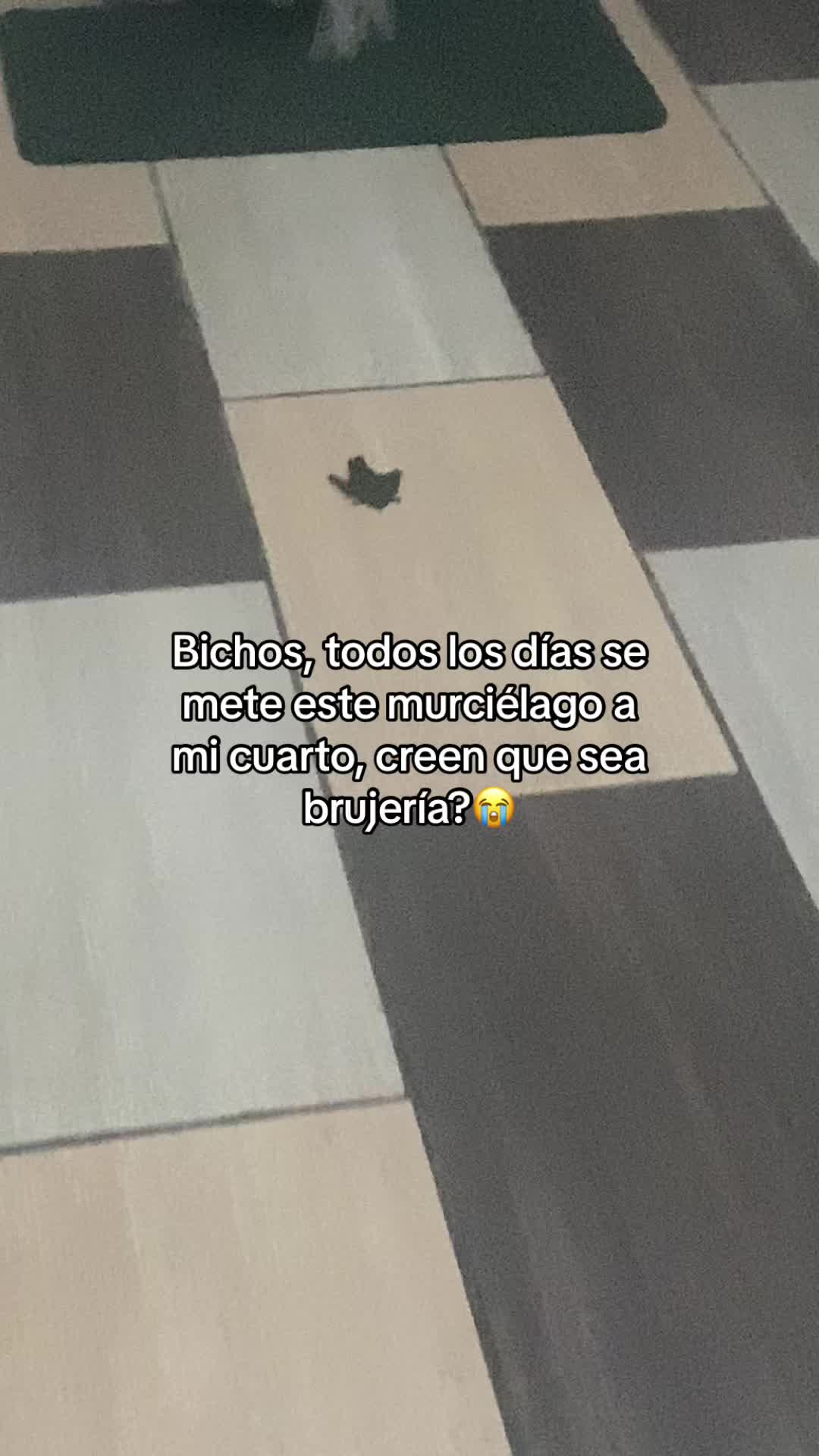 @lamachusita