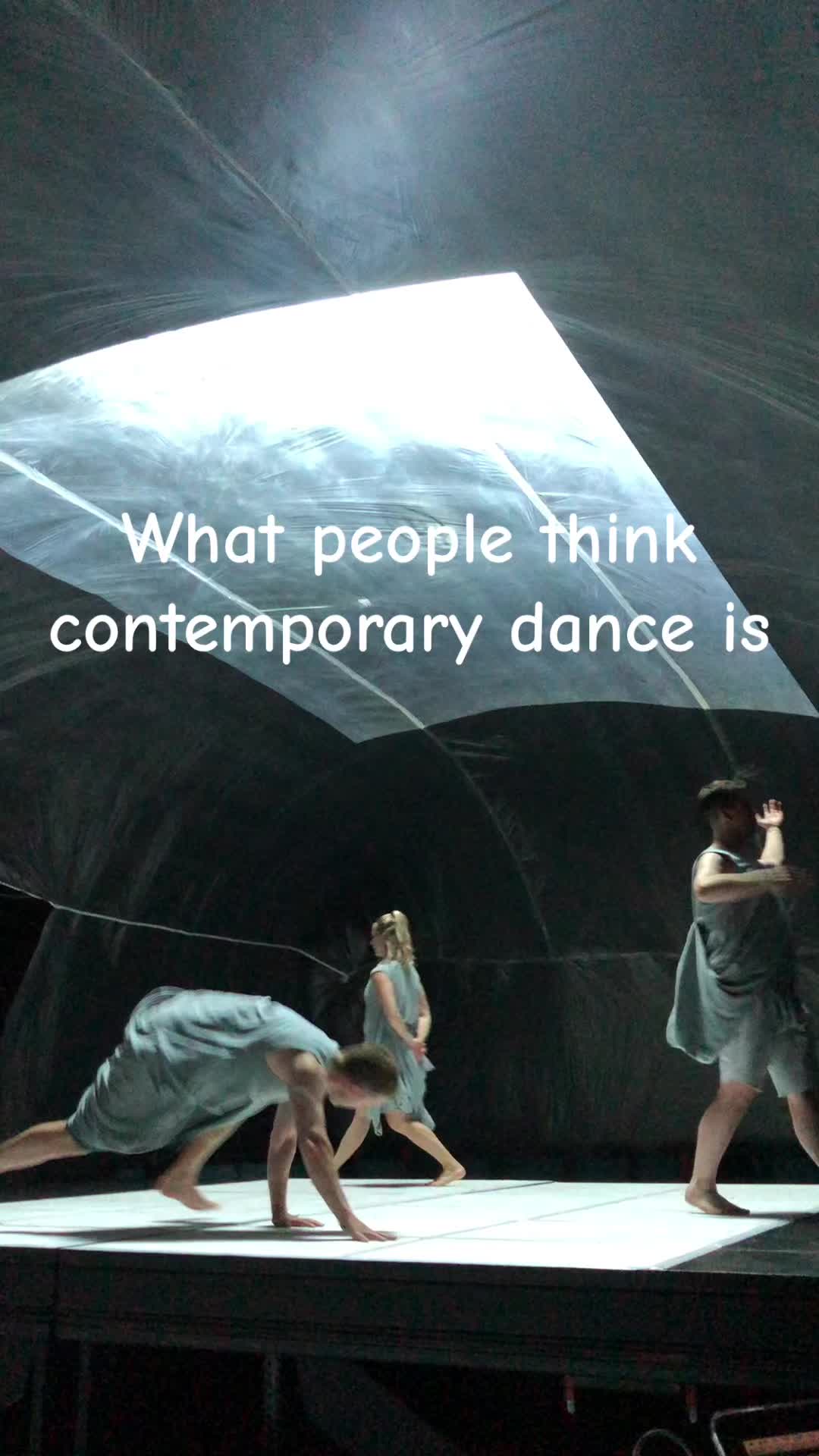 @Fern Orchestra