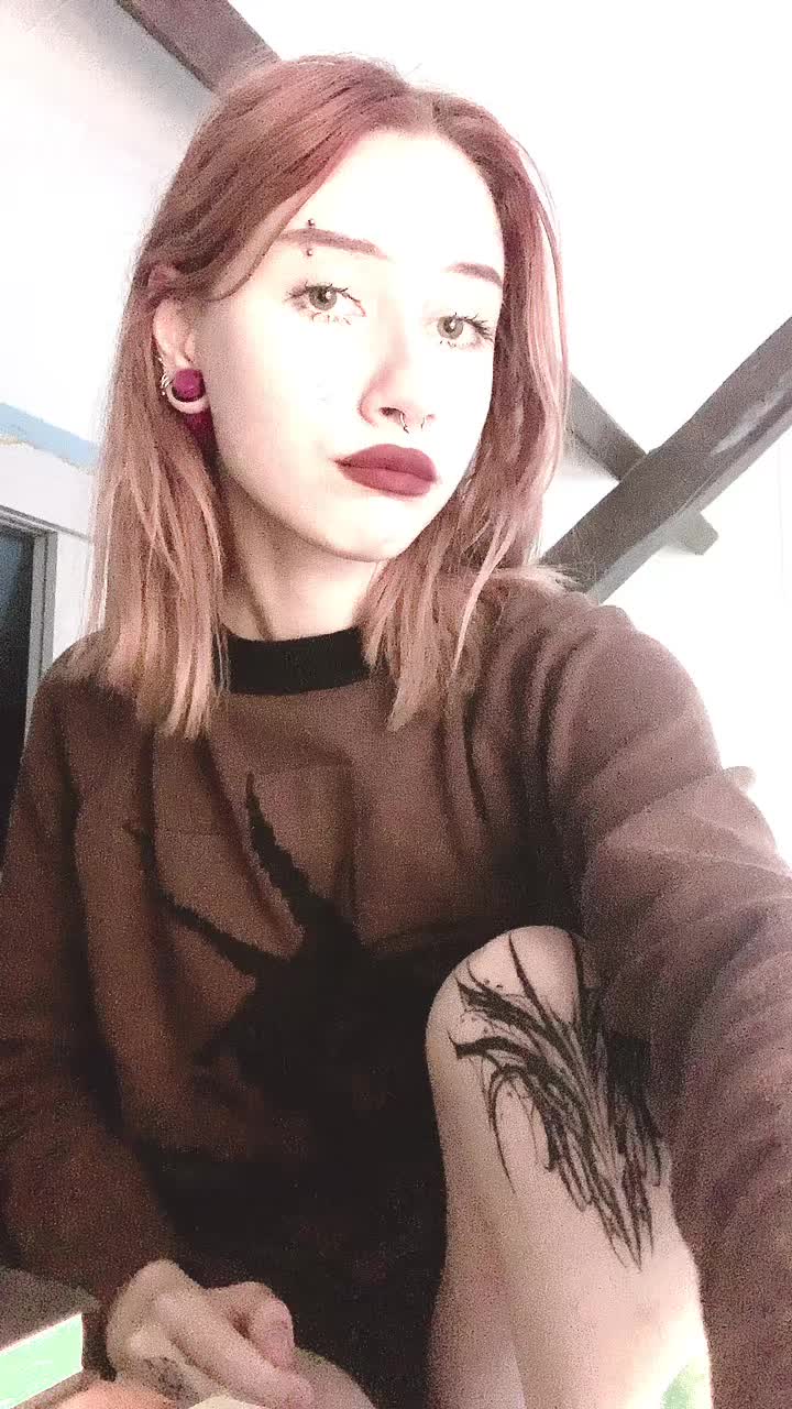 @Schefferdaria🐾