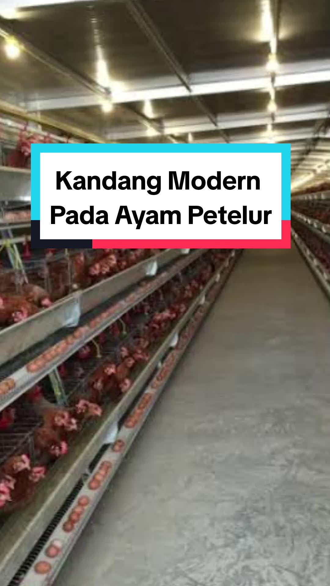 @Farmloka