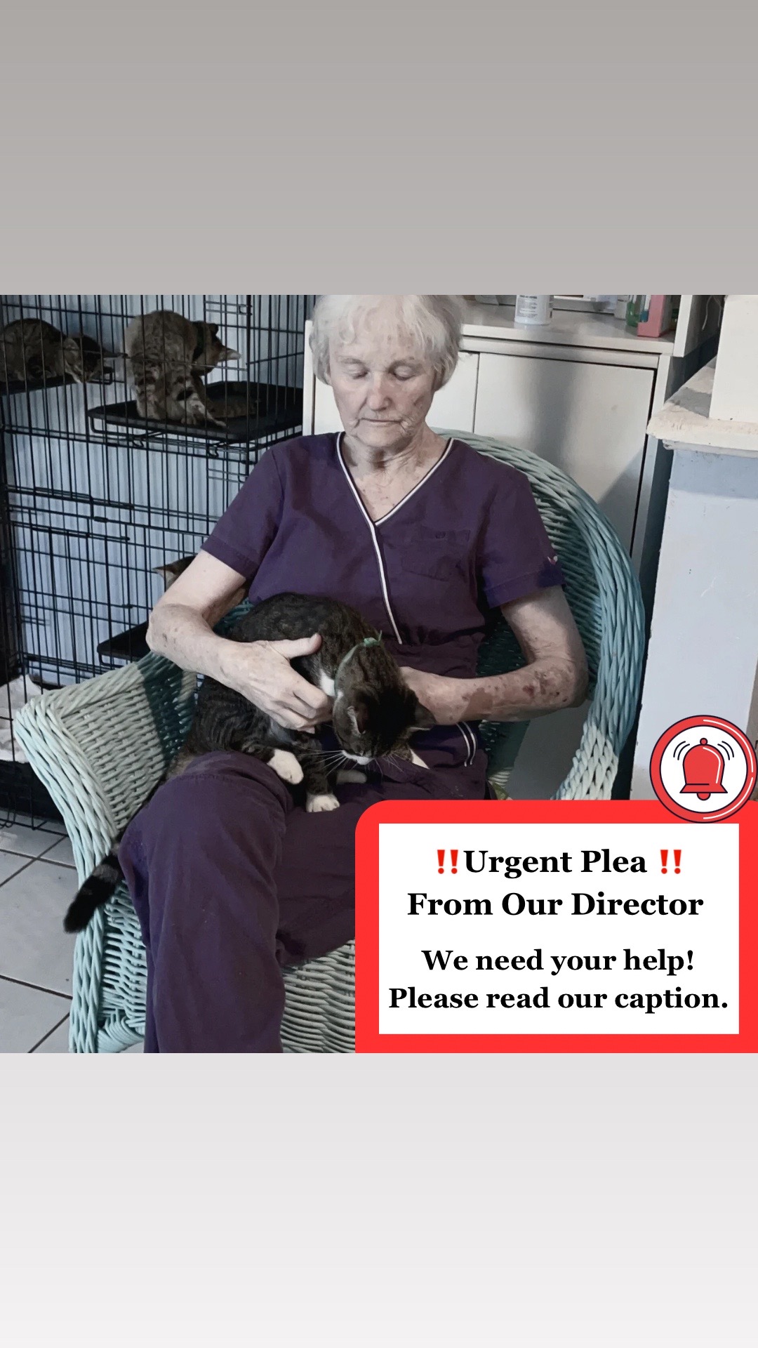 @Adoptacatinc