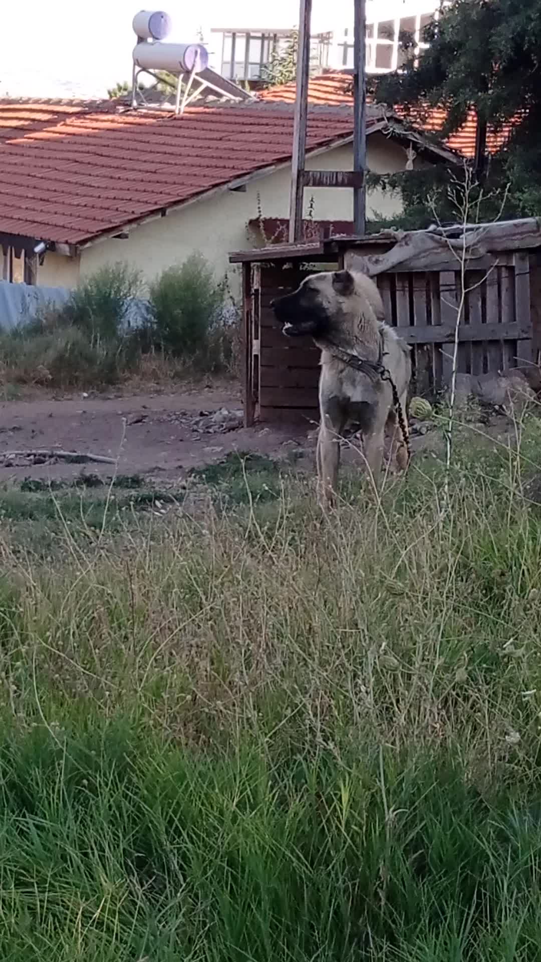 @Hello Bozkır