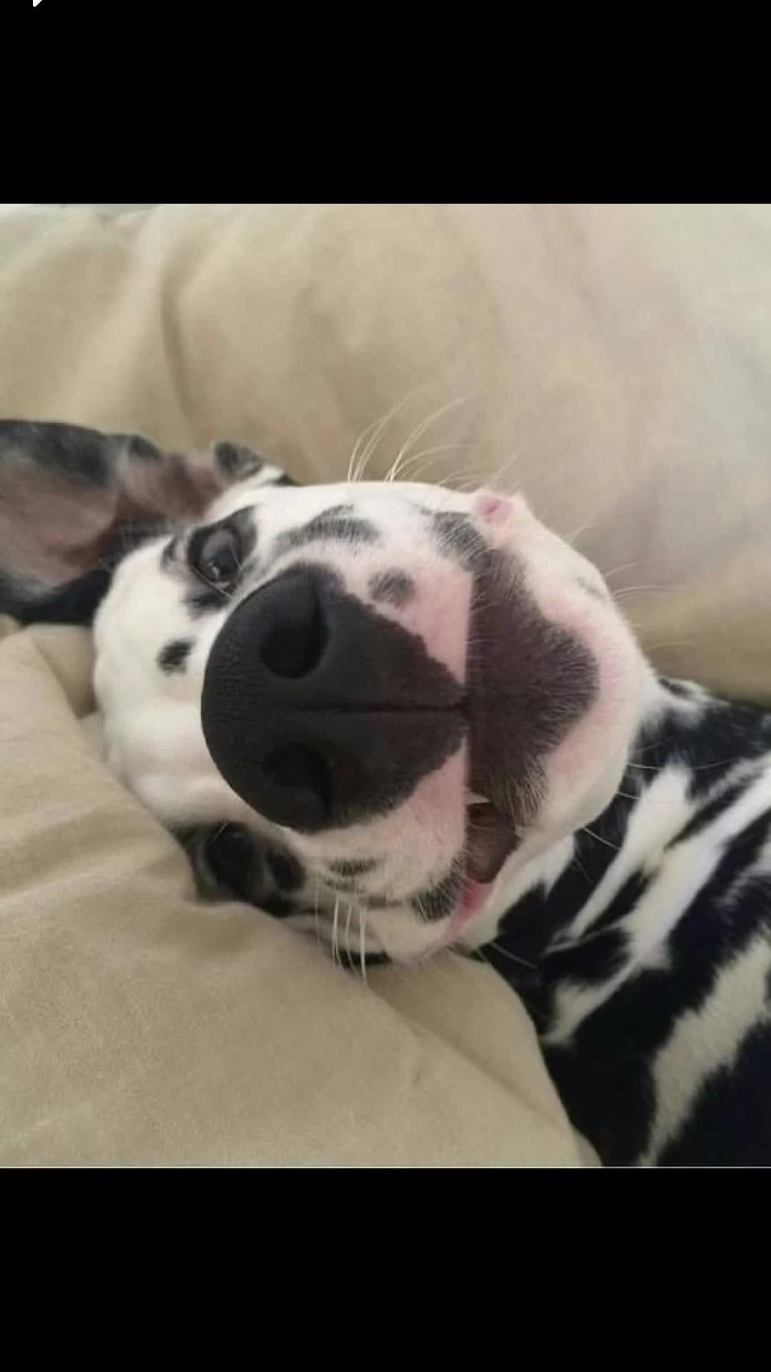 @𝐒𝐈𝐗&reg;