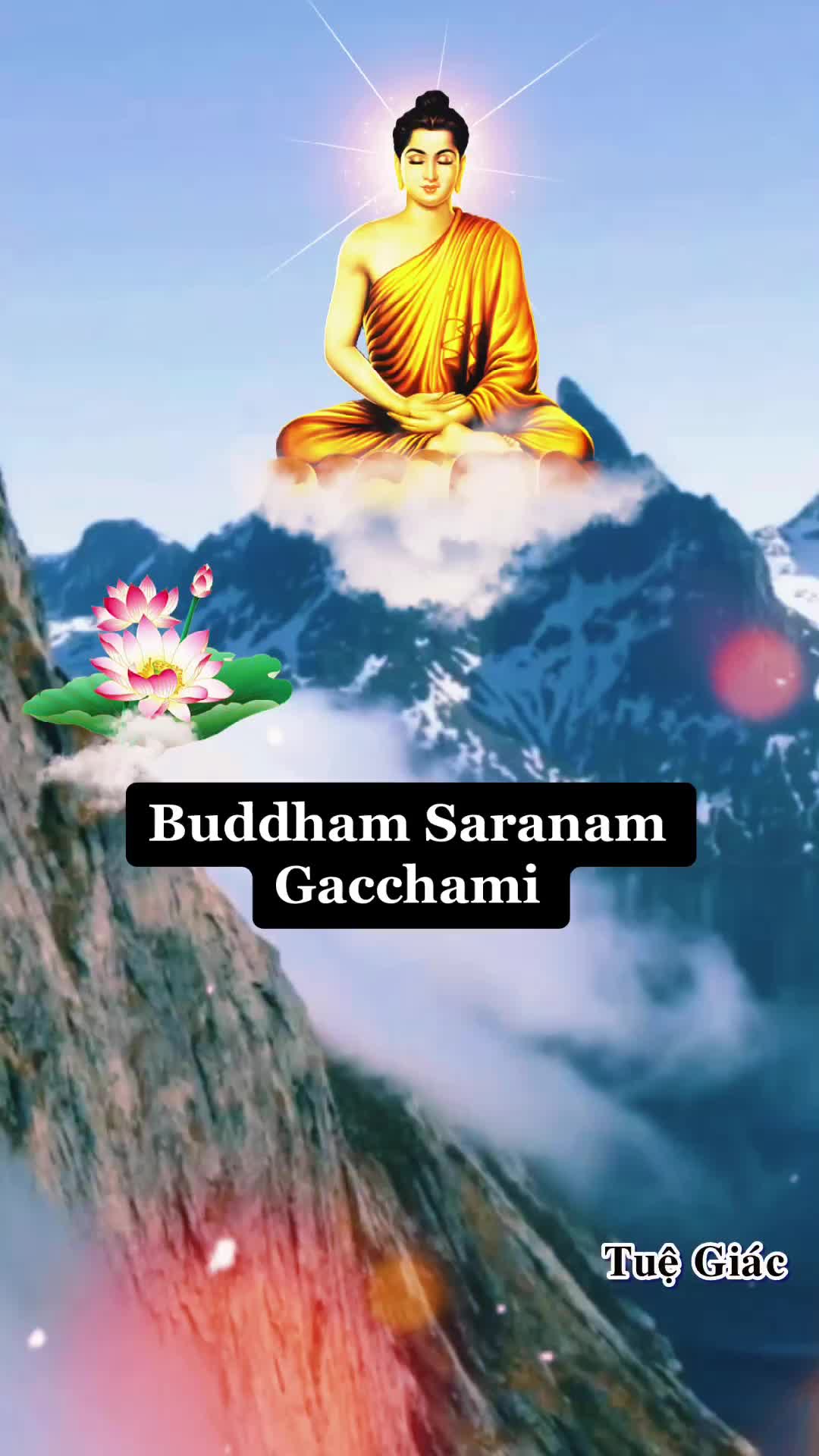 @Tuệ Gi&aacute;c