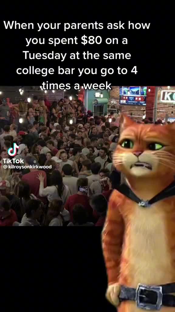 @Busch Light Papi
