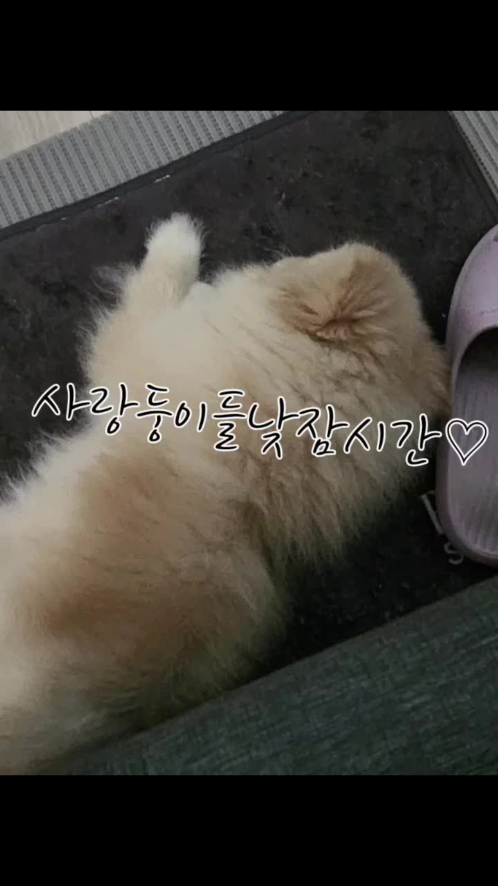 @특별한그녀♡